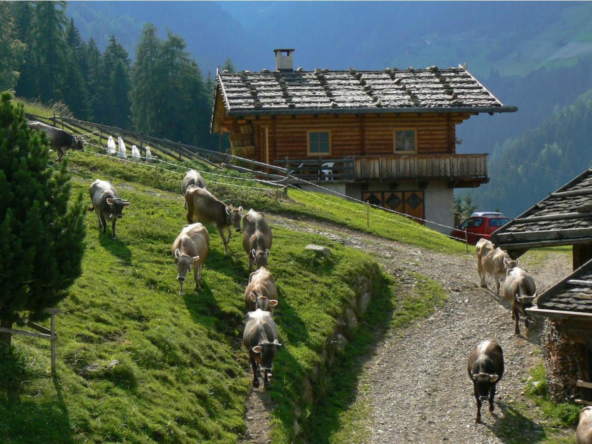 Ferienwohnung Maiernhof Bauernhof Ultental Sankt Pankraz Dış mekan fotoğraf